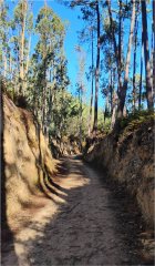 Camino Litoral 2 Dzień 4. 