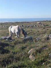 Camino Litoral 2 Dzień 5. 