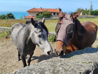 Camino Litoral 2 - Dzień 6. 