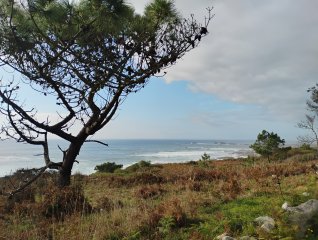 Camino Litoral 2 - Dzień 6. 