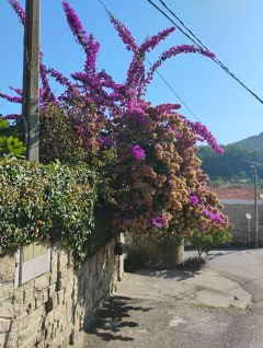 Camino Litoral 2 - Dzień 7. 