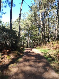 Camino Litoral 2 - Dzień 10. 