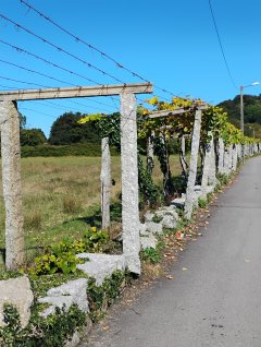 Camino Litoral 2 - Dzień 11. 