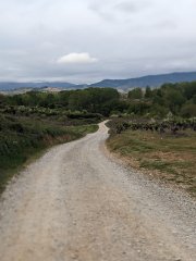 Camino Frances - Dzień 2. Polnymi drogami regionu Bierzo