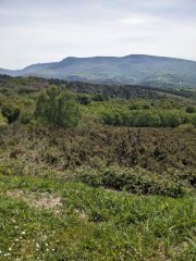 Camino Frances - Dzień 5. Jeszcze raz spojrzenie na góry