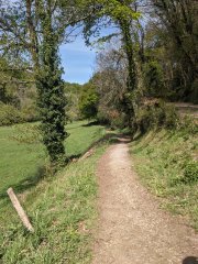 Camino Frances - Dzień 5. Ścieżka wśród łąk