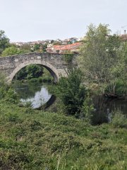 Camino Frances - Dzień 8. 