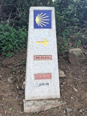 Camino Frances - Dzień 9. s