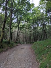 Camino Frances - Dzień 9. a