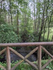 Camino Frances - Dzień 9. 