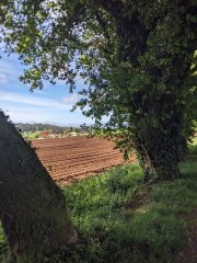 Camino Frances - Dzień 10. 