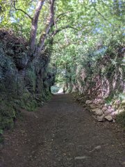 Camino Frances - Dzień 10. 