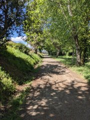 Camino Frances - Dzień 10. 