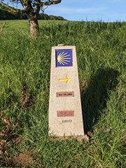 Camino Frances - Dzień 10. 