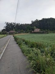 Camino Frances - Dzień 11. 