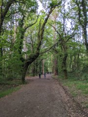 Camino Frances - Dzień 11. 