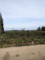 Camino Frances - Dzień 11. 